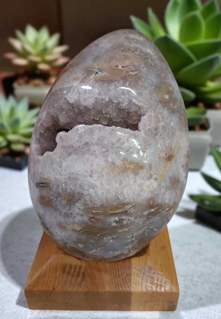 516783525_1327722189360310_6670511869416312427_n-Photoroom