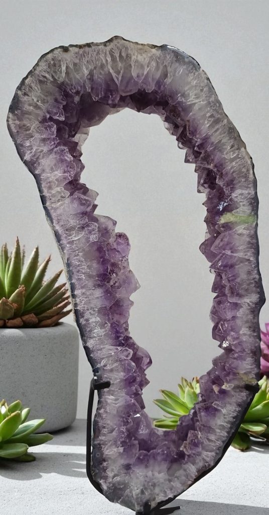 517016708_1327722542693608_1729208252956154869_n-Photoroom