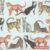 Serviettes Napkins Packet of 20 Emma Bridgewater Cats